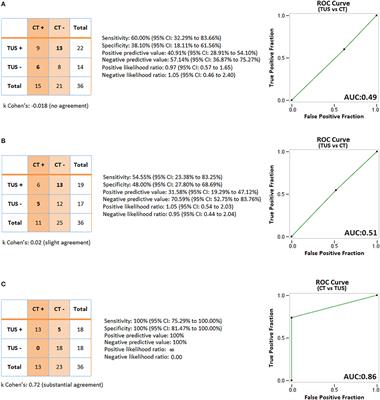 Transthoracic Ultrasound in Infectious Organizing Pneumonia: A Useful Guide for Percutaneous Needle Biopsy